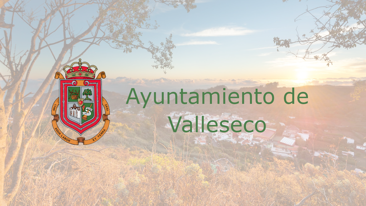 Imagen de portada de la institución Ayuntamiento de Valleseco